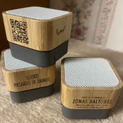 Muzikinė dėžutė "Slieko pasakos ir dainos"