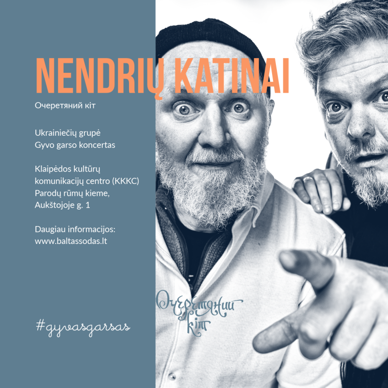 Nendrių katinai Klaipėdoje